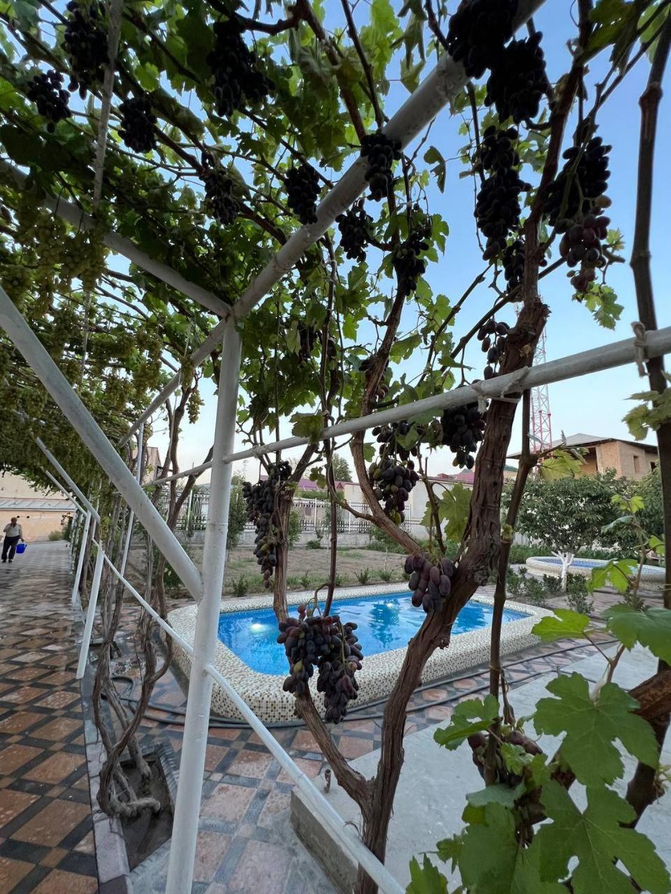 Samarabonu Hotel Samarkand Esterno foto